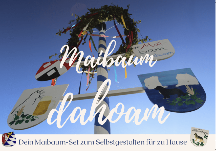 Read more about the article Der Maibaum for Dahoam…