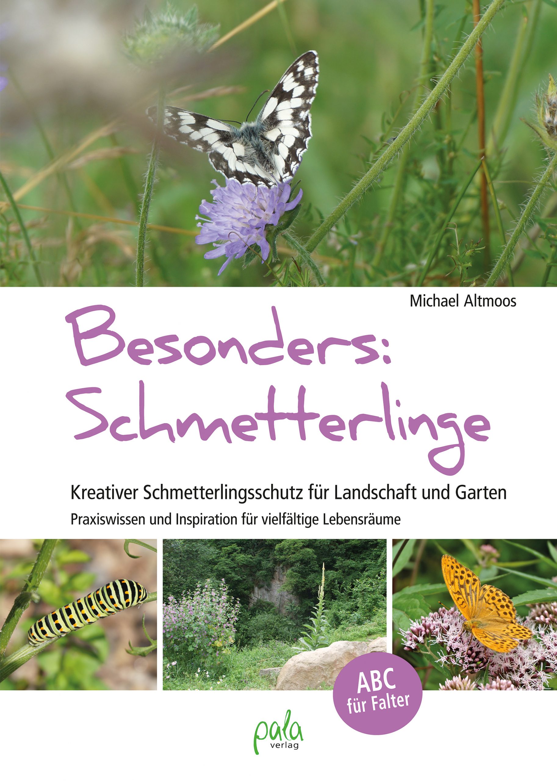 Read more about the article Buchtipp: Besonders Schmetterlinge